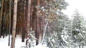 Вдохни Зимние Волшебство [get.gt]