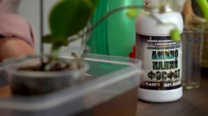 Аминокалийфосфат