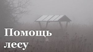 В лесах Антрацитовского района подкармливают диких зверей