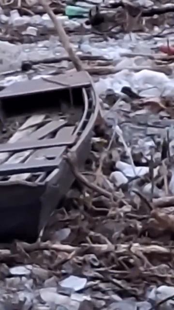 ���������� ��������� ������ �� ���� � �������