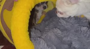 Всем самого доброго вечера и самых удивительных снов.