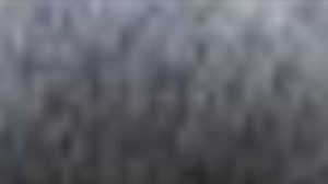 короч таких видео будет 5 для продвижения