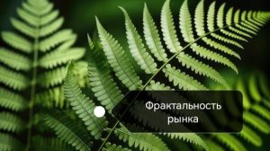 фрактальност. из интрадей в долгосрок