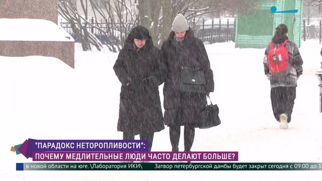 Парадокс неторопливости. Почему медлительные люди часто делают больше?