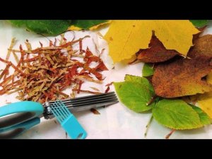 Необычные ножницы травника ✂. Super scissors.