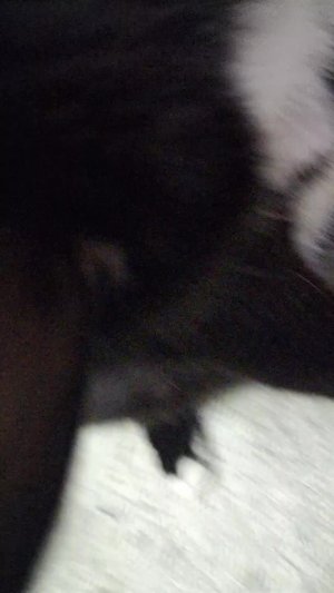 кууууууууууууууууууууууууууууузяяяяяяяяяяяяяяяяяяяяяяяяяяяяяяяяя