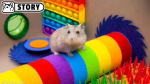 Лучшие испытания для хомяков 2 — хомяк сбегает из самых невероятных лабиринтов 🐹 Хомяк Хомура