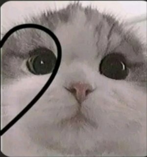 обзор моей косметики часть 2