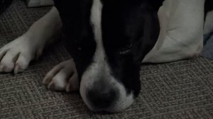 ДУХВМАТ. Выпуск 6