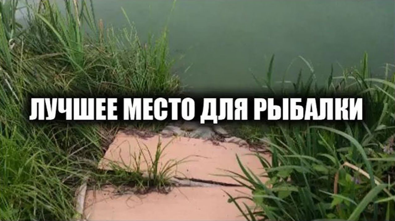 Самая Лучшая Русская Рыбалка. Ищу Лучшие Рыбные Места. Самая Популярная Рыбалка 2026 Онлайн на Рутуб