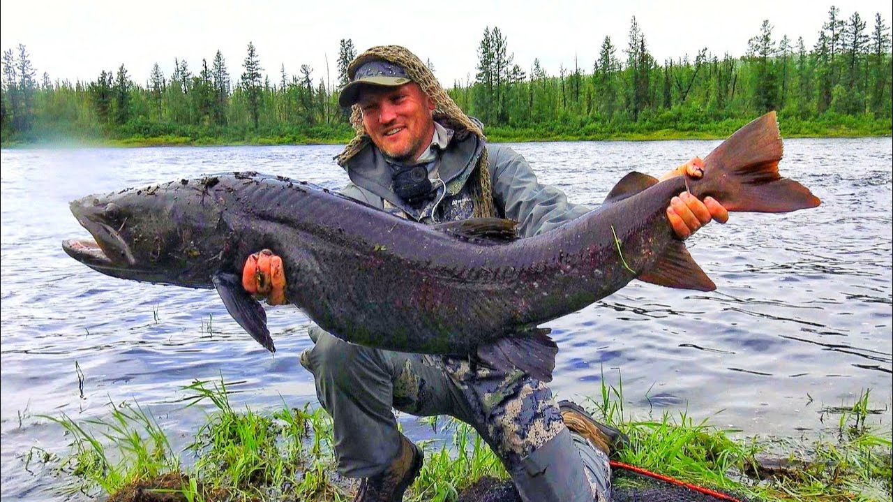 Ловим Очень Вкусных Щук. Самая Лучшая Рыбалка на затоке. Ловим с Лодки. Крутые Щуки. Рыбалка 2026 смотреть онлайн