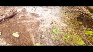 поездка за воблерами ЧАСТЬ 31