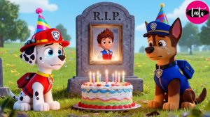 Щенячий патруль и Маршалл. Залипательное видео. Мультфильм для детей и малышей. Анимация 307