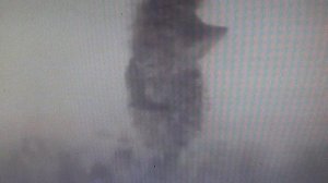 ЩУТКА  Ежики в тумане