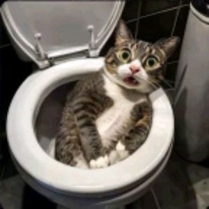 Слава Борисов