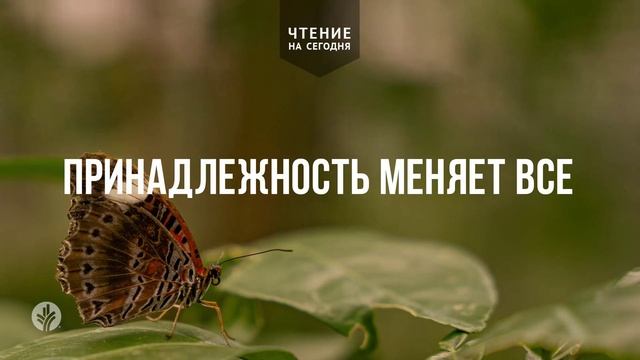 ПРИНАДЛЕЖНОСТЬ МЕНЯЕТ ВСЕ  | АУДИО |	5	  марта 2026