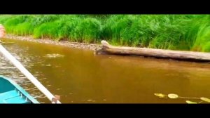 поездка за воблерами ЧАСТЬ 88