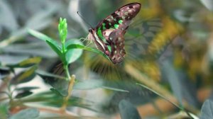 УТРО ИНГУШЕТИЯ  260226