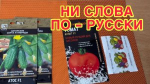 25/2 26 ИНФОРМАТИВНО-ПОЗНАВАТЕЛЬНЫЙ КОНТЕНТ О ТРУСАХ. ПРИШЛИ СЕМЕНА.