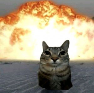 проблема у мишвикса ☹️