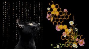 Шумный улей. Жужжание пчел, рой пчел