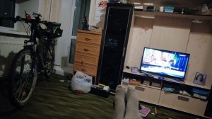 story_1633108807615_jazz_1