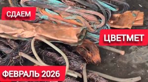 Цены на цветмет 25.02.2026