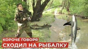 КОРОЧЕ ГОВОРЯ, Я СХОДИЛ НА РЫБАЛКУ