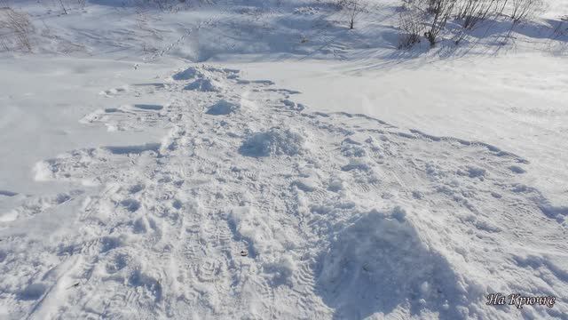 Проверка крючков на налима 25-26 февраля 2026 смотреть онлайн