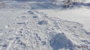 Проверка крючков на налима 25-26 февраля 2026