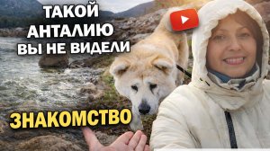 🇹🇷 ТАКУЮ АНТАЛИЮ ВЫ НЕ ВИДЕЛИ! Дождь и горы. Гуляем с подругой и ее собакой #влог