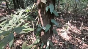 Замуж в Индию/УЖЕ НЕ ОТ КОГО НЕ СКРЫТЬ. Прямо в лицо говорят, что я выгляжу старше мужа.