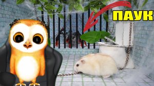 ПОБЕГ ХОМЯЧКА ИЗ ЛЕСНОГО ЛАБИРИНТА СМОЖЕТ ЛИ ПУШИСТИК УБЕЖАТЬ ОТ ПАУКА ОХРАННИКА МУЛЬТИКИ ДЛЯ ДЕТЕЙ