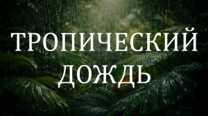Звук тропического дождя 10 часов 🌴 Ливень в джунглях для сна и глубокого расслабления