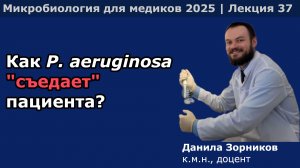 Неферментирующие грамотрицательные бактерии