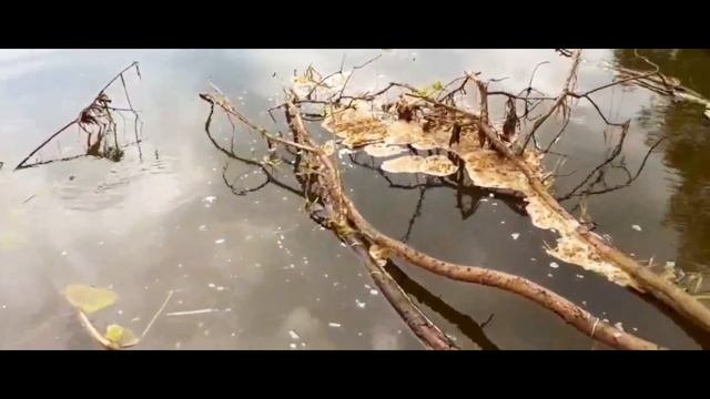 поездка за воблерами ЧАСТЬ 3