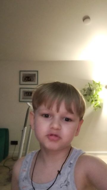 снова завились крысы 