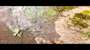 поездка за воблерами ЧАСТЬ 27