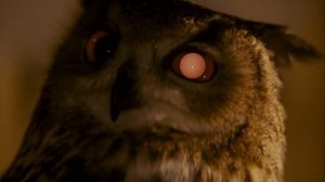 ДДТ - Я получил эту роль