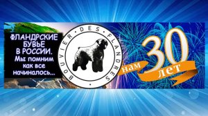 Фландрский бувье. Ролик-подарок к юбилею НКП.