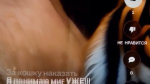 «Сказка о любви» мифология и наглость