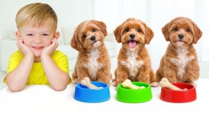 Адам помогает маме ухаживать за щенком