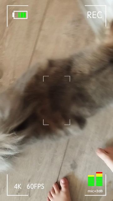 срочное включение минка - Это Саша!!!