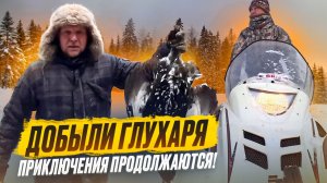 ДОБЫЛИ ГЛУХАРЯ И СРАЗУ ПРИГОТОВИЛИ НА КОСТРЕ // ПРИКЛЮЧЕНИЯ В АРХАНГЕЛЬСКОЙ ОБЛАСТИ