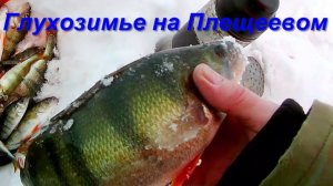 25.02.26 Глухозимье на Плещеевом