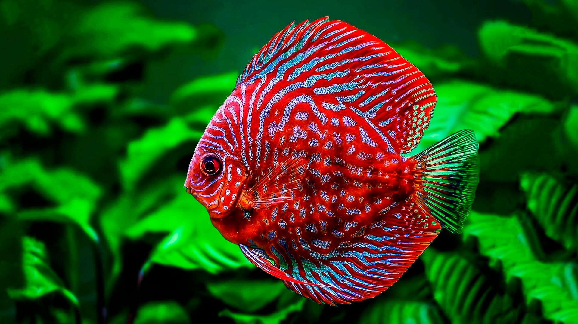 БЕЗУМНО КРАСИВАЯ УСПОКАИВАЮЩАЯ МУЗЫКА ДЛЯ СНА 🎵 МЕДИТАТИВНАЯ РАССЛАБЛЯЮЩАЯ РЕЛАКС МУЗЫКА ДЛЯ ДУШИ смотреть онлайн