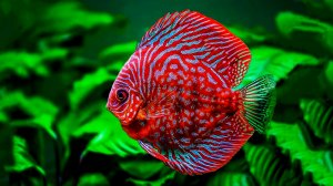 БЕЗУМНО КРАСИВАЯ УСПОКАИВАЮЩАЯ МУЗЫКА ДЛЯ СНА 🎵 МЕДИТАТИВНАЯ РАССЛАБЛЯЮЩАЯ РЕЛАКС МУЗЫКА ДЛЯ ДУШИ