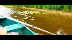 поездка за воблерами ЧАСТЬ 84