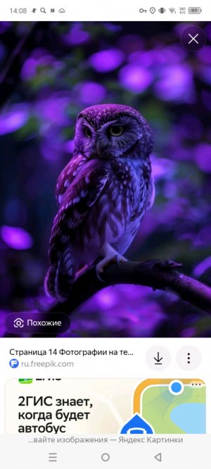 бравл. старс.