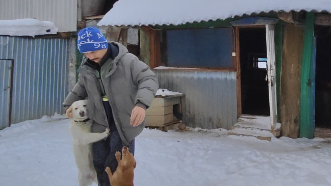 Дороги замело 🫣 // подсолнухи под снегом 🌻🌻🌻 // я Максим 🤣👍 смотреть онлайн